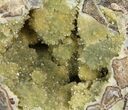 Yellow Crystal Filled Septarian Geode - Utah #97243-2